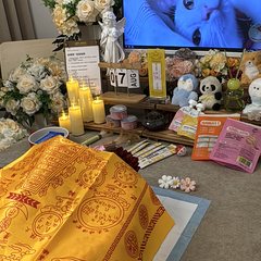 宠物家长客户见证