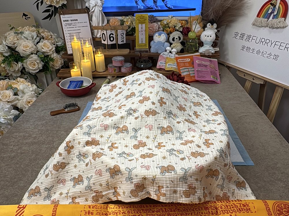 宠物骨灰交付与纪念品